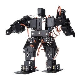 13 Axis Humanoid Robot - Humanoid Robot 