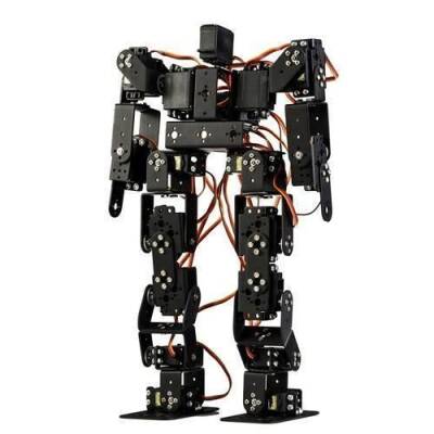 17 Eksenli İnsansı Robot - Humanoid Robot - 1