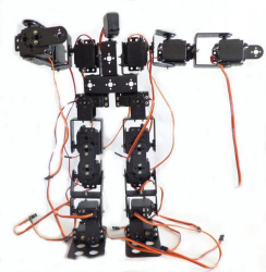 17 Eksenli İnsansı Robot - Humanoid Robot - 2