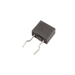 1A 300V Capacitor Type Delayed Fuse 