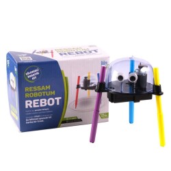 Rebot Painter Robot 