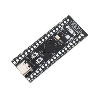STM32F401 Black Pill 86MHz - 256kB Geliştirme Kartı - 1