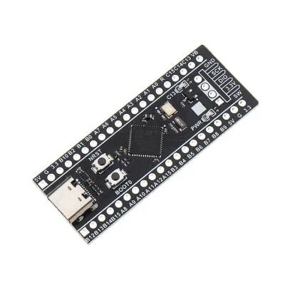 STM32F401CDU6 Black Pill 86MHz - 256kB Geliştirme Kartı - 1