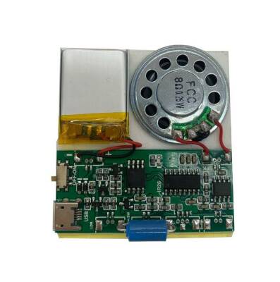 Titreşim Sensörü Kontrollü Ses Kayıt ve Çalma Modülü - 1