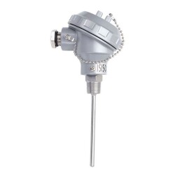 TRPT2-231-8-200-1/2 - 200 mm 2xPT-100 Head Type Thermocouple 