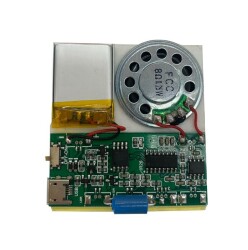 Vibration Sensor Controlled Audio Recording and Playback Module 