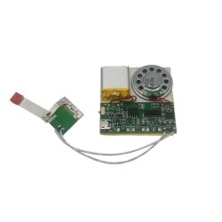 Voice Recording and Playback Module for Gift Cards 