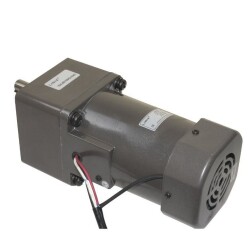 YN100-120 220V 260RPM AC Motor 