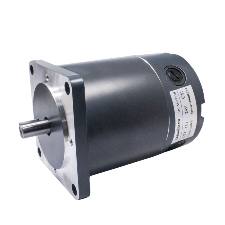  Zyt-114 24v 300w 1800rpm Dc Motor